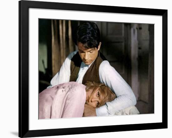 BONNIE AND CLYDE, 1967 directed by ARTHUR PENN Faye Dunaway and Warren Beatty (photo)-null-Framed Photo