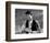 Bonnie and Clyde-null-Framed Photo