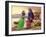 Bonnie Prince Charles and Flora Macdonald-Pat Nicolle-Framed Giclee Print