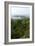 Bonnie View Hotel, Port Antonio, Jamaica-Natalie Tepper-Framed Photo