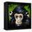 Bonobo Monkey-null-Framed Stretched Canvas