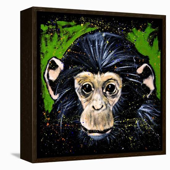 Bonobo Monkey-null-Framed Stretched Canvas