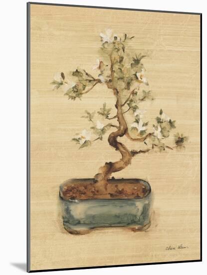 Bonsai II-Cheri Blum-Mounted Art Print