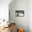 Bonsai Juniper-Fabio Petroni-Framed Premier Image Canvas displayed on a wall