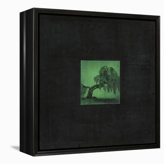 Bonsai Poets Tree-OM-Framed Premier Image Canvas