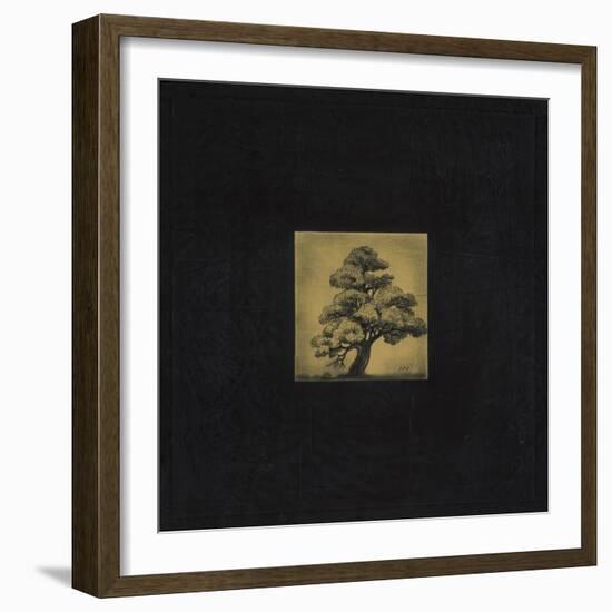 Bonsai Sacred Tree-OM-Framed Giclee Print