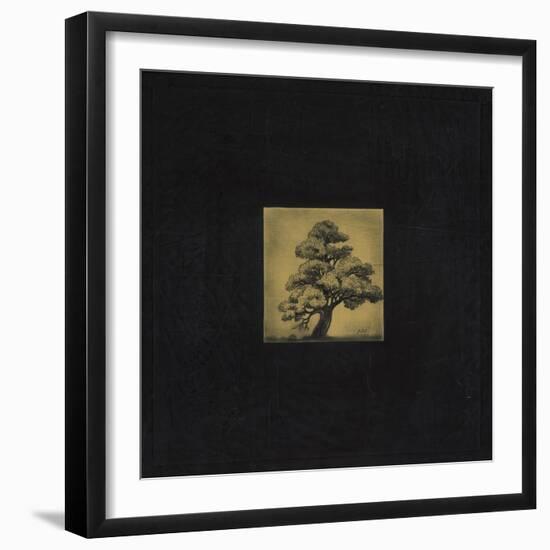 Bonsai Sacred Tree-OM-Framed Giclee Print