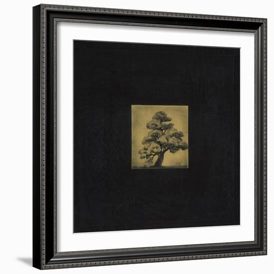 Bonsai Sacred Tree-OM-Framed Giclee Print