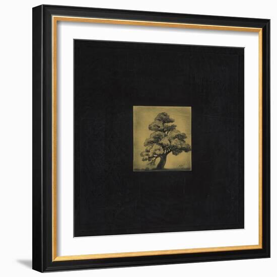 Bonsai Sacred Tree-OM-Framed Giclee Print