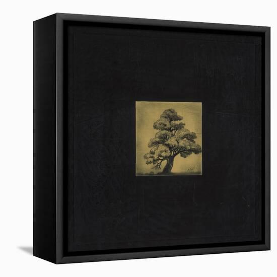 Bonsai Sacred Tree-OM-Framed Premier Image Canvas