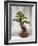 Bonsai Tree, Classical Garden, Suzhou, Jiangsu, China-Ivan Vdovin-Framed Photographic Print