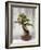 Bonsai Tree, Classical Garden, Suzhou, Jiangsu, China-Ivan Vdovin-Framed Photographic Print