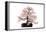 Bonsai-Fabio Petroni-Framed Premier Image Canvas