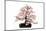 Bonsai-Fabio Petroni-Mounted Photographic Print