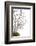 Bonsai-Fabio Petroni-Framed Photographic Print