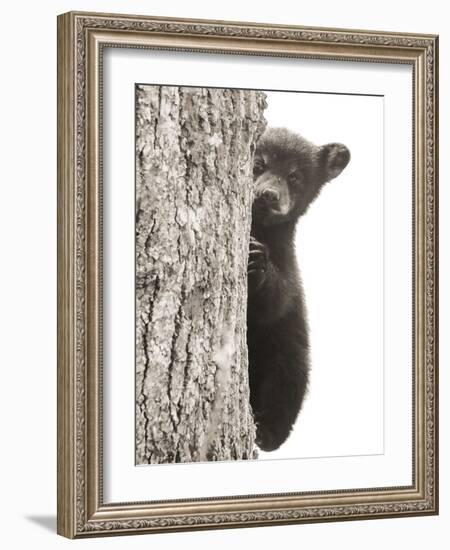 Boo-Dan Sproul-Framed Photo