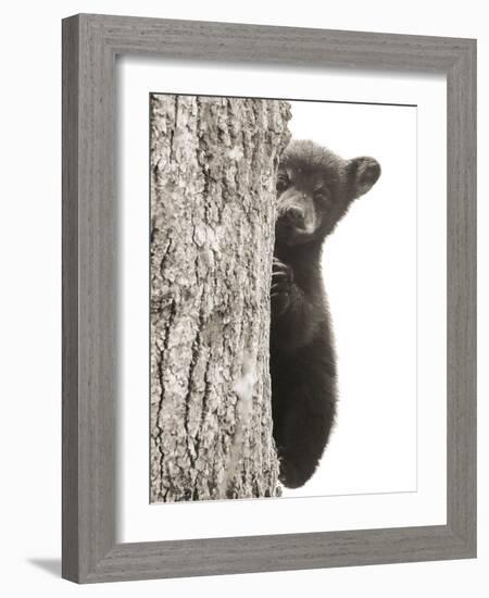 Boo-Dan Sproul-Framed Photo