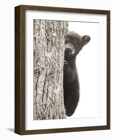 Boo-Dan Sproul-Framed Photo