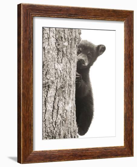 Boo-Dan Sproul-Framed Photo