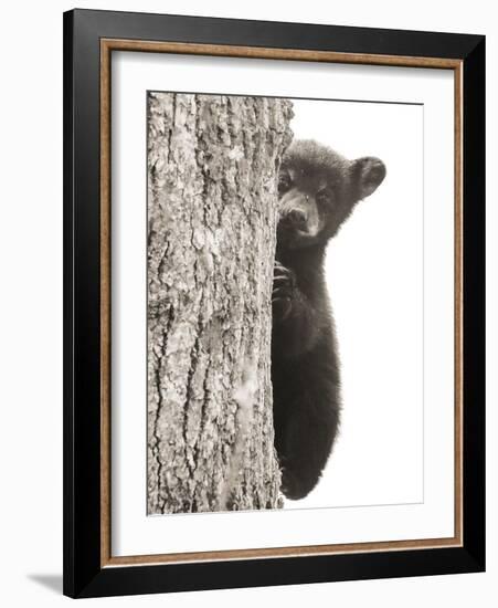 Boo-Dan Sproul-Framed Photo