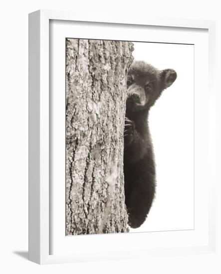 Boo-Dan Sproul-Framed Photo