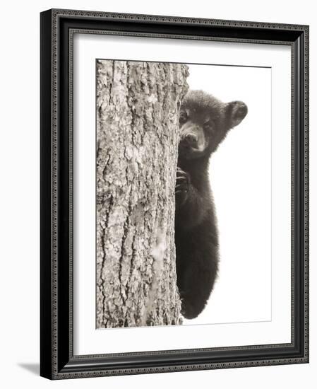 Boo-Dan Sproul-Framed Photo