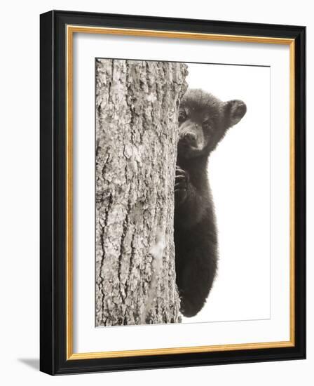 Boo-Dan Sproul-Framed Photo