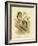 Boobook Owl, 1891-Gracius Broinowski-Framed Giclee Print