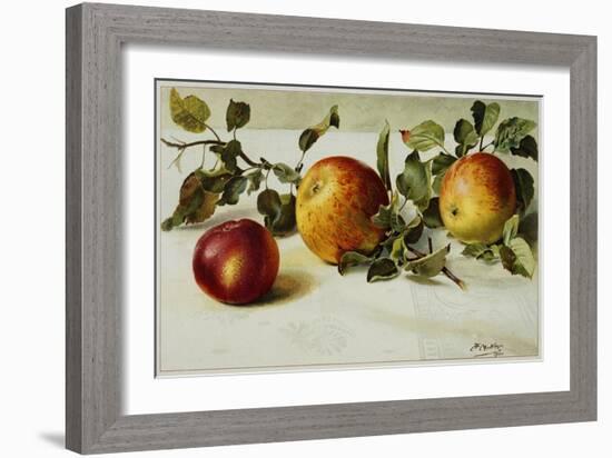 Book Illustration of Apples-Fairfax Muckler-Framed Giclee Print