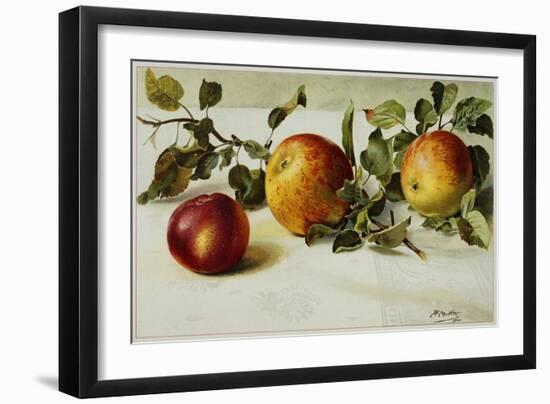 Book Illustration of Apples-Fairfax Muckler-Framed Giclee Print