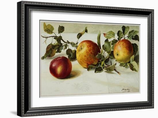 Book Illustration of Apples-Fairfax Muckler-Framed Giclee Print