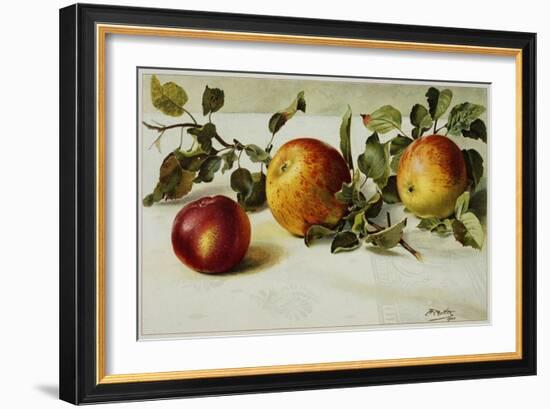 Book Illustration of Apples-Fairfax Muckler-Framed Giclee Print