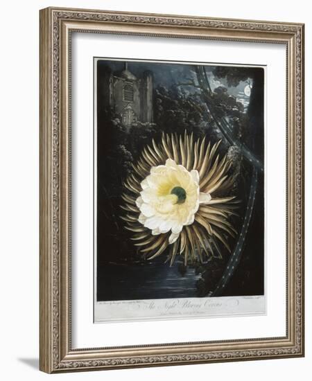 Book Illustration of the Night Blowing Cereus-null-Framed Giclee Print