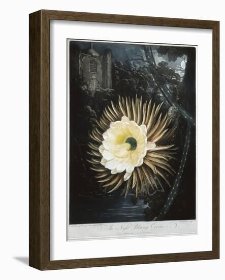 Book Illustration of the Night Blowing Cereus-null-Framed Giclee Print