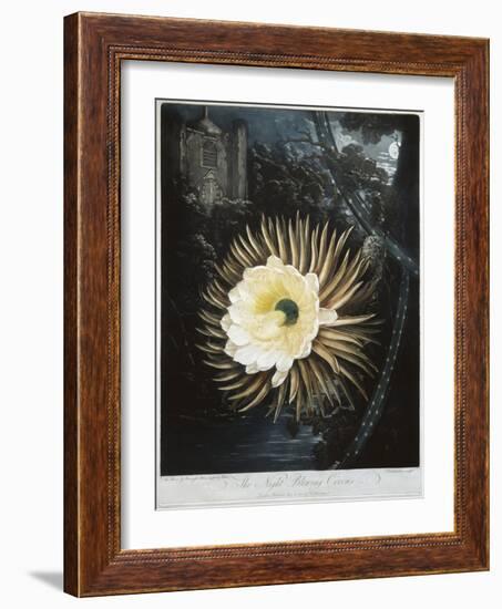 Book Illustration of the Night Blowing Cereus-null-Framed Giclee Print