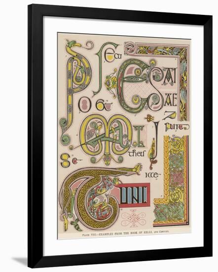 Photographic Print, , large