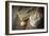 Book of Recipes and Ingredients for Cookies on a Wooden Table Horizontal-Denis Karpenkov-Framed Photographic Print