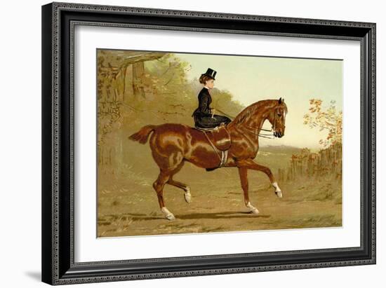 Book of the Horse-Samuel Sidney-Framed Art Print