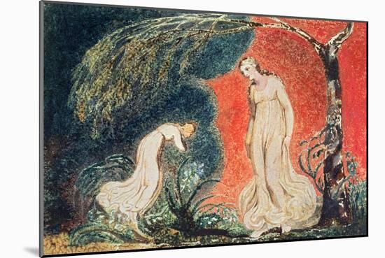 Book of Thel; the Lily Bowing before Thel, before Going Off 'to Mind Her Numerous Charge Among…-William Blake-Mounted Giclee Print