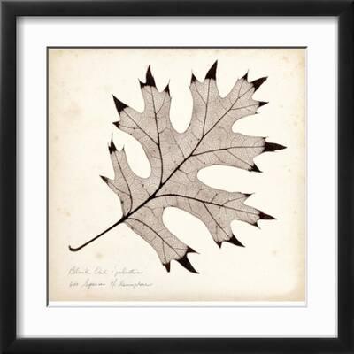 Lot De 4 Cartes Postales Murales – Art En Mouvement, Booker Morey, Bois, 10x8 Pouces