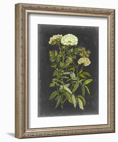 Bookplate Floral I-Naomi McCavitt-Framed Art Print