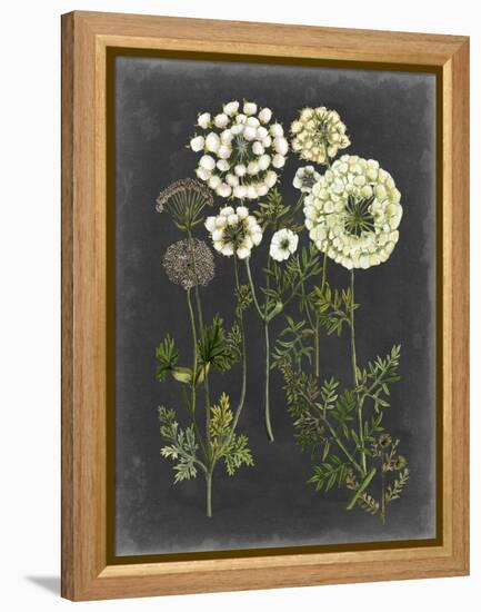 Bookplate Floral II-Naomi McCavitt-Framed Stretched Canvas