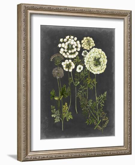 Bookplate Floral II-Naomi McCavitt-Framed Art Print