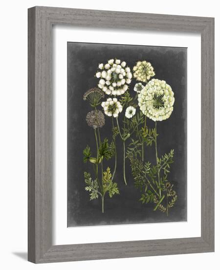 Bookplate Floral II-Naomi McCavitt-Framed Art Print