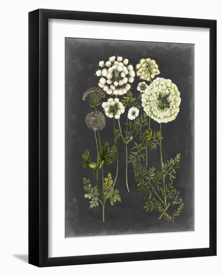 Bookplate Floral II-Naomi McCavitt-Framed Art Print