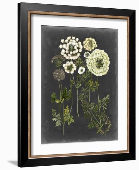 Bookplate Floral II-Naomi McCavitt-Framed Art Print