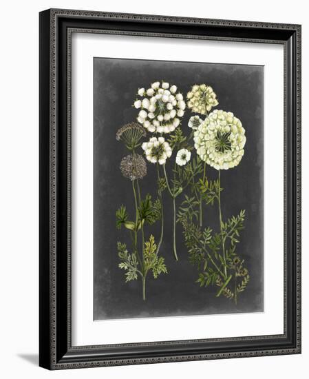 Bookplate Floral II-Naomi McCavitt-Framed Art Print