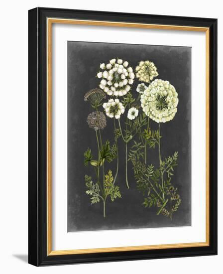 Bookplate Floral II-Naomi McCavitt-Framed Art Print