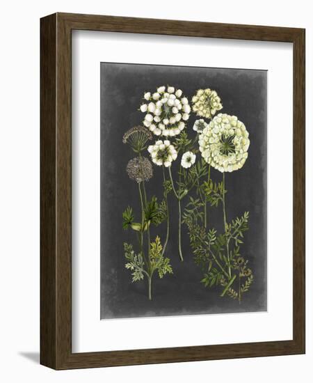 Bookplate Floral II-Naomi McCavitt-Framed Premium Giclee Print