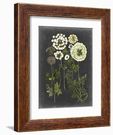 Bookplate Floral II-Naomi McCavitt-Framed Premium Giclee Print